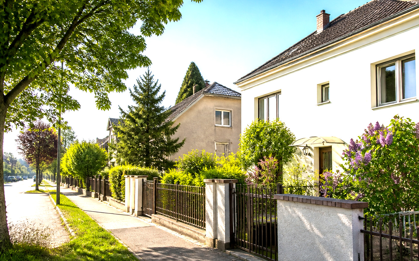 Gewachsene Wohnstraßen als helles Symbolbild für neukagran.com